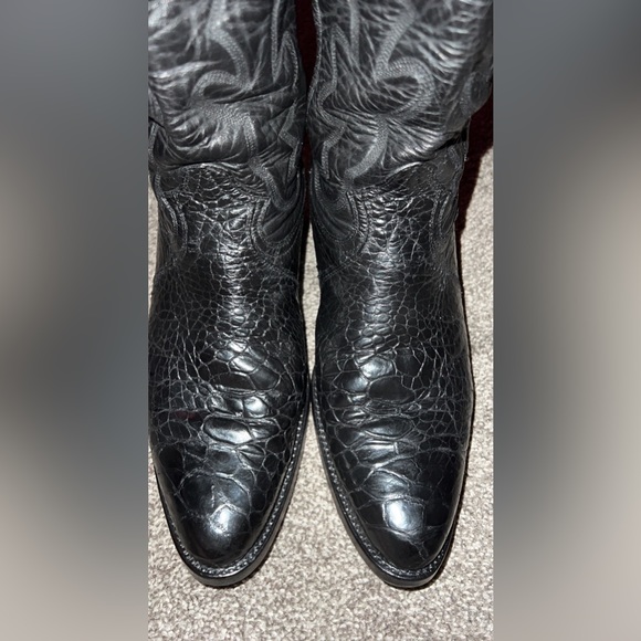 Montana turtles ๐ข๐ข 9.5 D asking 340 - Picture 10 of 10